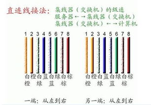 網線接水晶頭與信息面板的詳細教程 從零開始輕松搞定